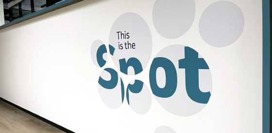 Branding and signage for pharmaceutical company MSD in Munich