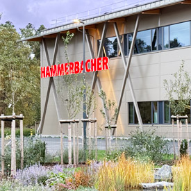 LED illuminated signage and more for the new headquarters of office furniture manufacturer Hammerbacher in Neumarkt in der Oberpfalz